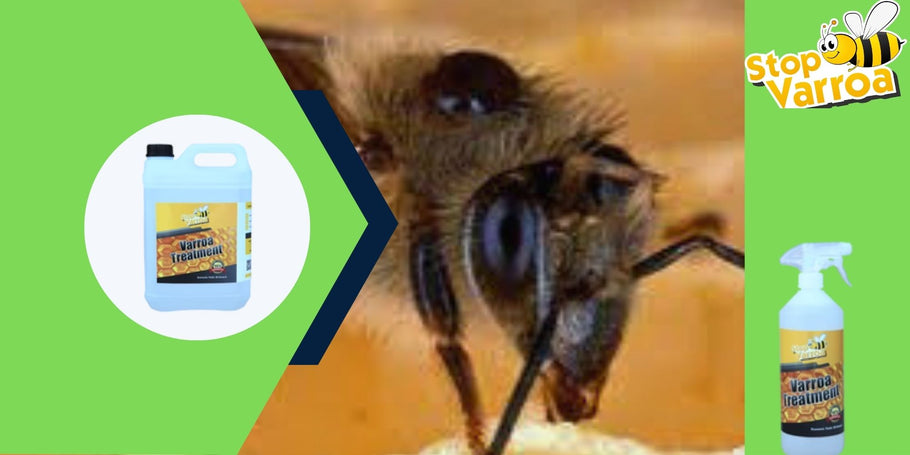 Anti-Varroa revoliucija: sprendimas, kuris išgelbės jūsų bites